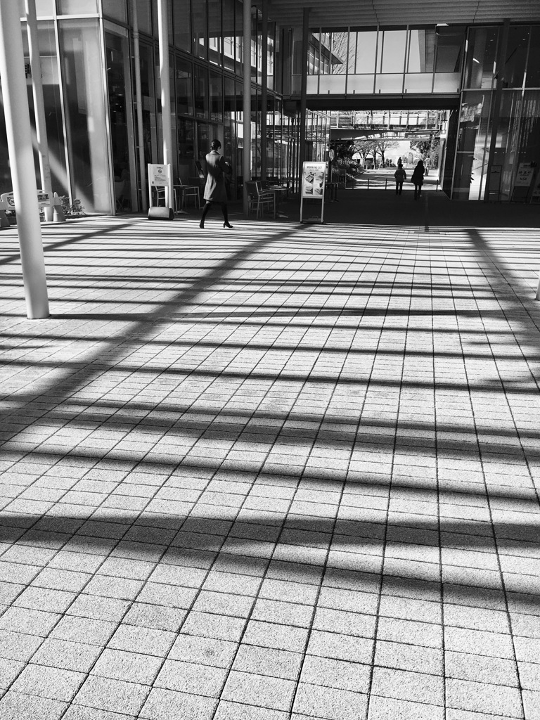 20170210 たいる