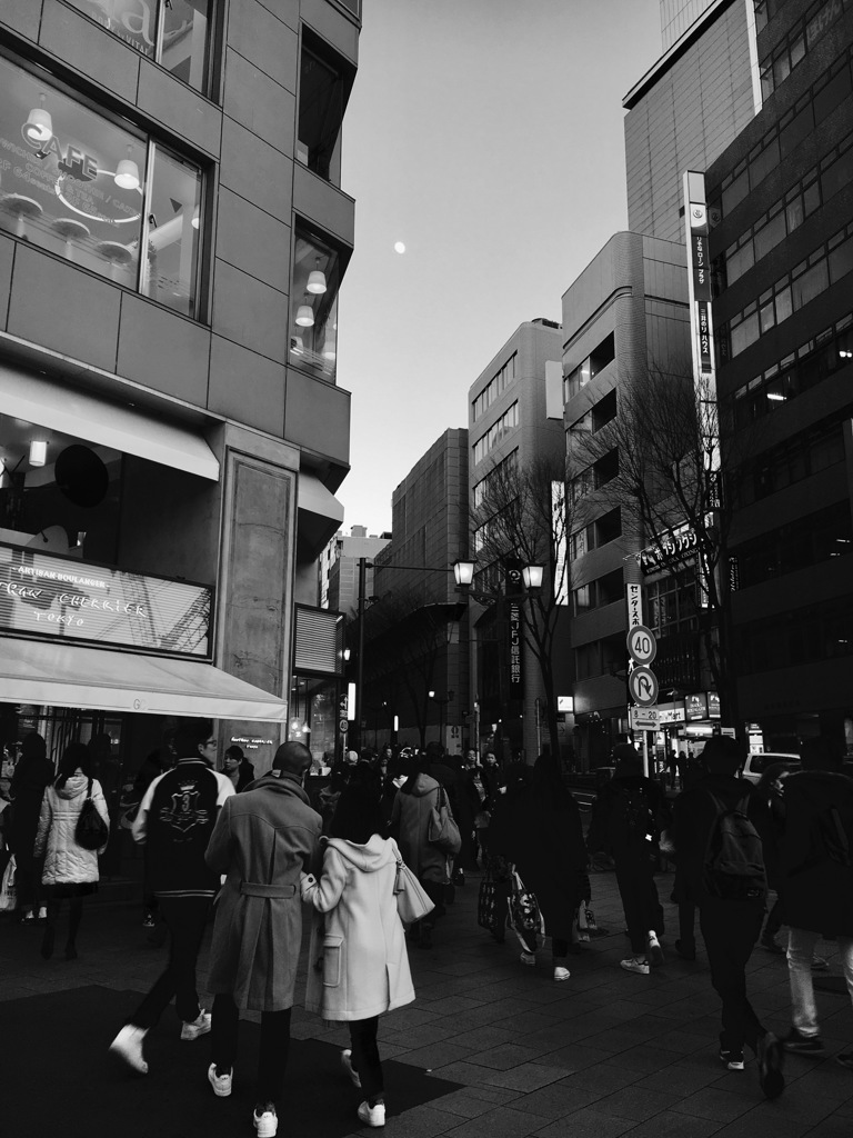 20170109  月に気がつく人は？