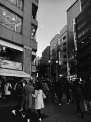 20170109  月に気がつく人は？