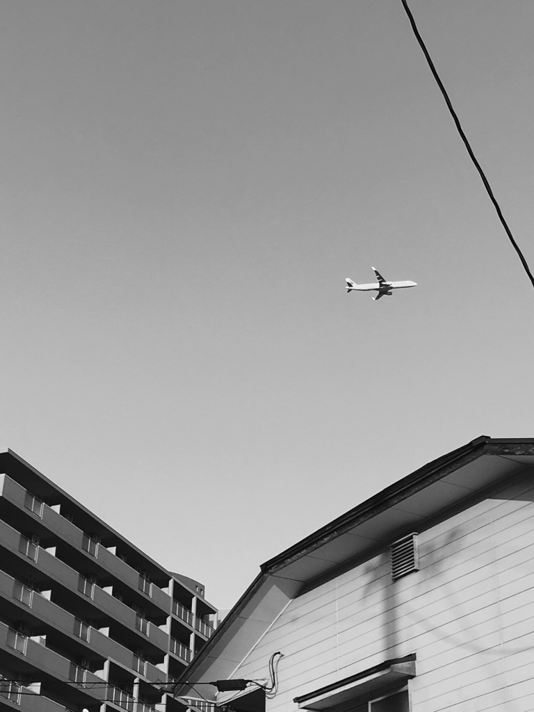 20170214 住宅街を飛ぶ