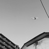 20170214 住宅街を飛ぶ