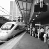20170809 すわれかな？かもめ21