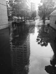 20170613 ビル街雨水鏡