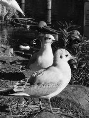 20170101 何かある？