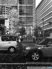 20161206信号早く変わらないかなア