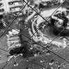 20170417 外は雨