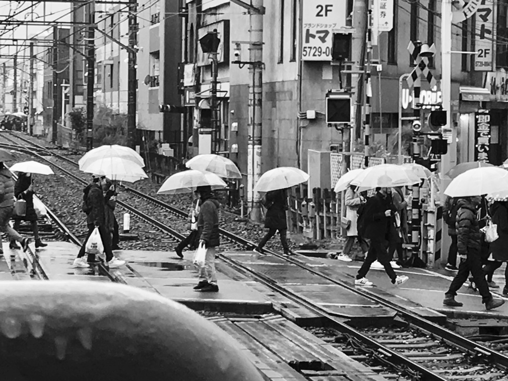 20170326 ビニ傘行列