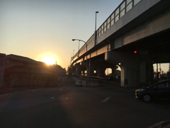 20170215 高架下夕焼