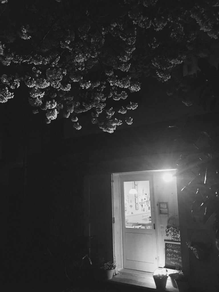 20170406 夜桜と喫茶店
