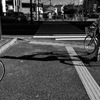 20170811 長い影