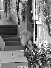 20161228年の瀬です。お手伝い。