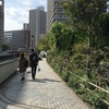 20161023自転車を買おうと思っている