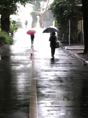 20160924秋雨に滲む