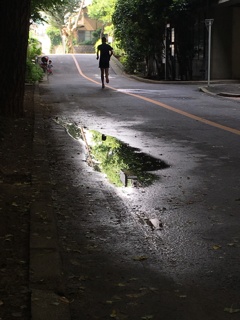 20160925雨上がりの朝のジョギング