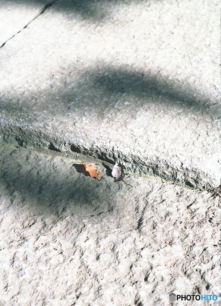 石畳の上に　壱