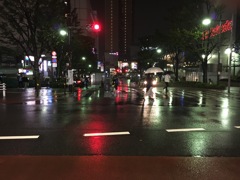 20161028足早に渡る