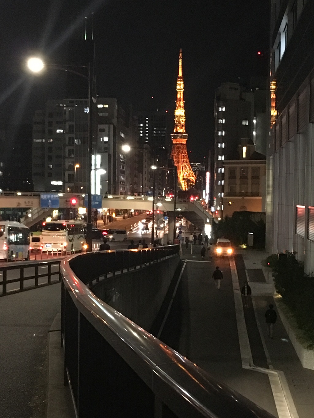 20161027陸橋から臨む
