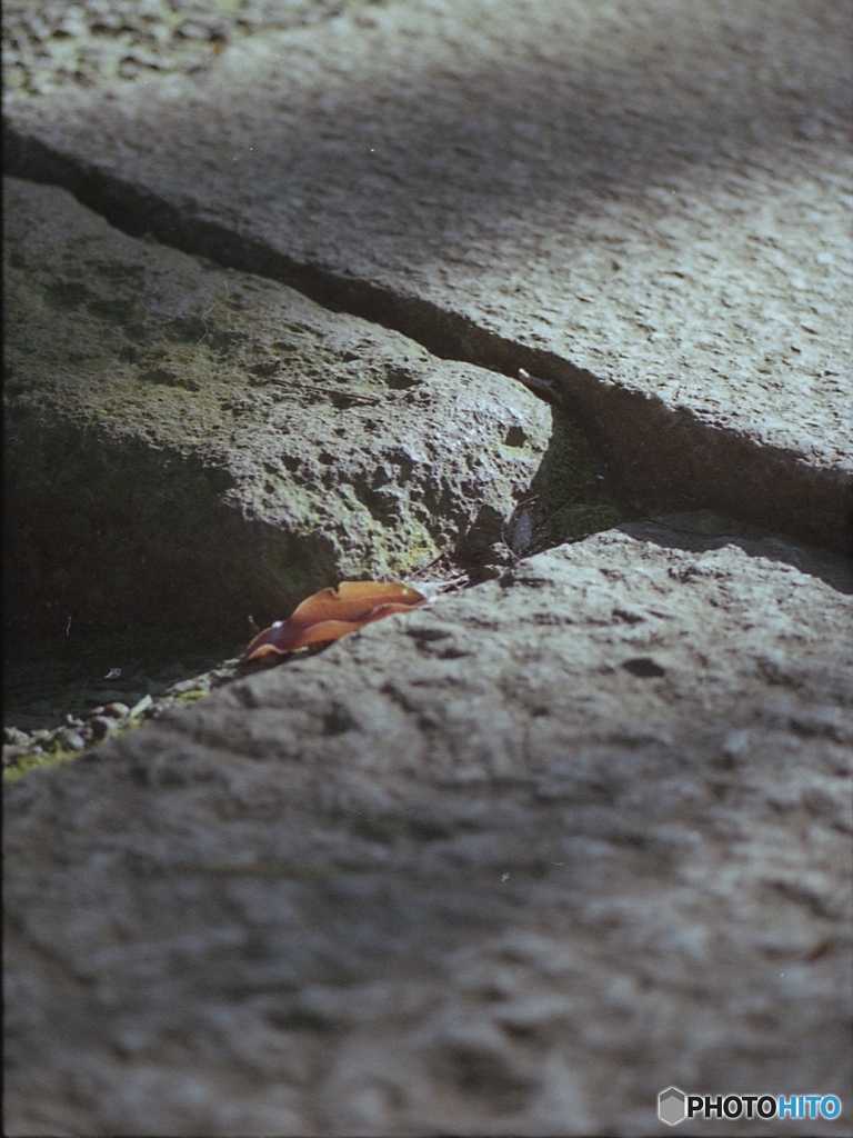 石畳の上に　六