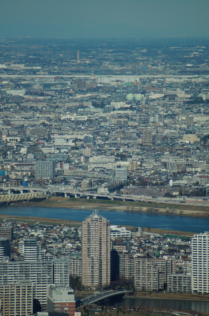 東京スカイツリーからご覧あれ