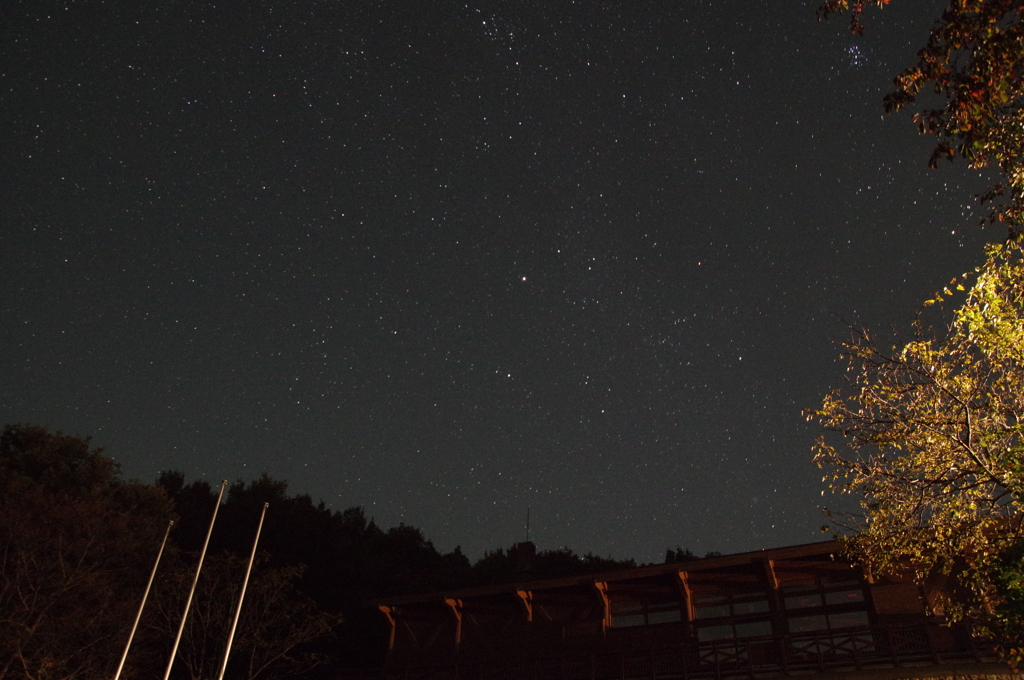 オリオン座流星群は見えなくても・・・