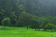 2020年7月12日　雨