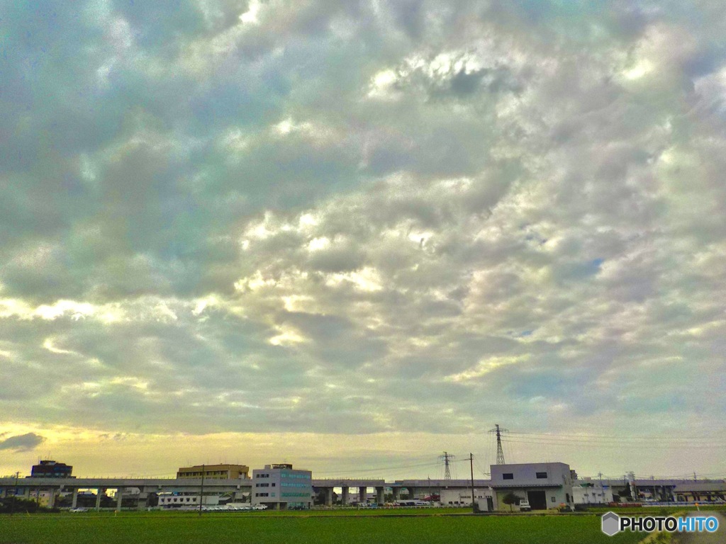 7月5日日曜日　曇り