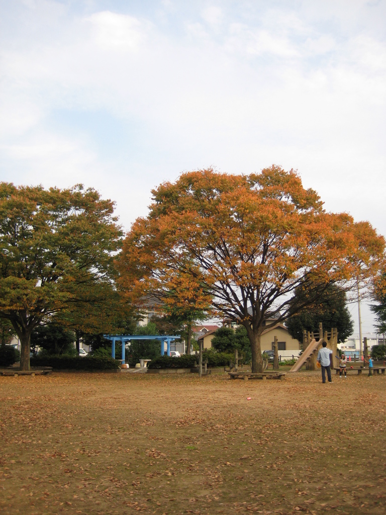 ご近所スナップ　朝・公園・紅葉・親子