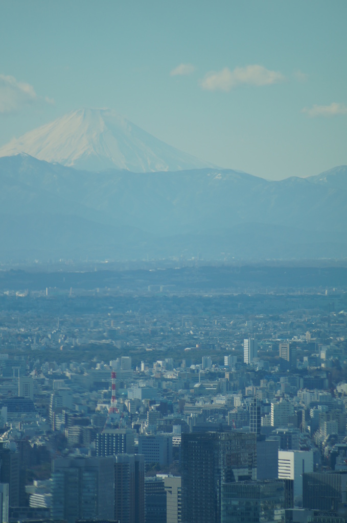 東京スカイツリーから富士山