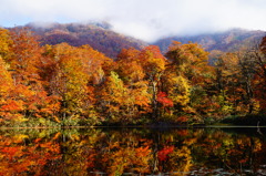 普通の刈込池・紅葉