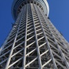 ツリー2