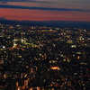 ツリー夜景２