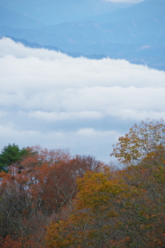 葛城山頂からの眺め　雲海②　