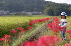 里山の秋