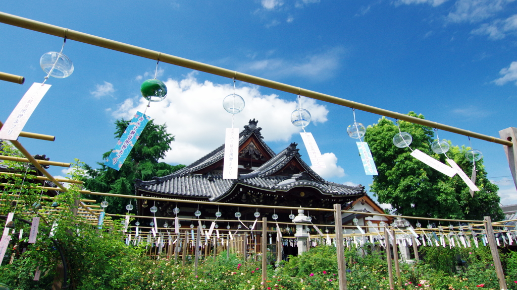 おふさの夏-4