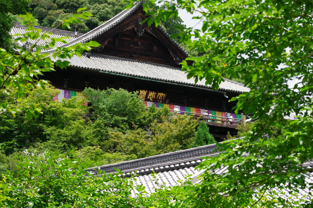 長谷寺