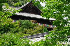 長谷寺