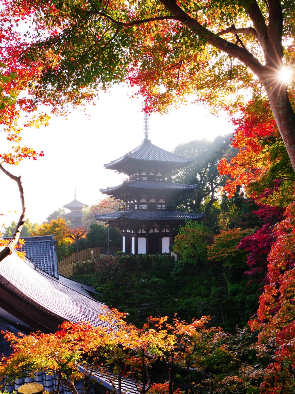 朝日と西塔・東塔