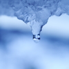 ゆきのしずく