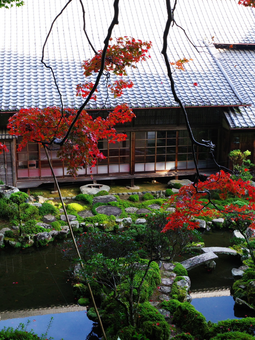 當麻寺の紅葉