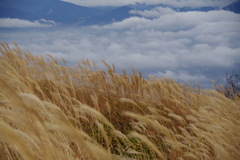 葛城山頂の景色③