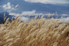 葛城山頂の景色②