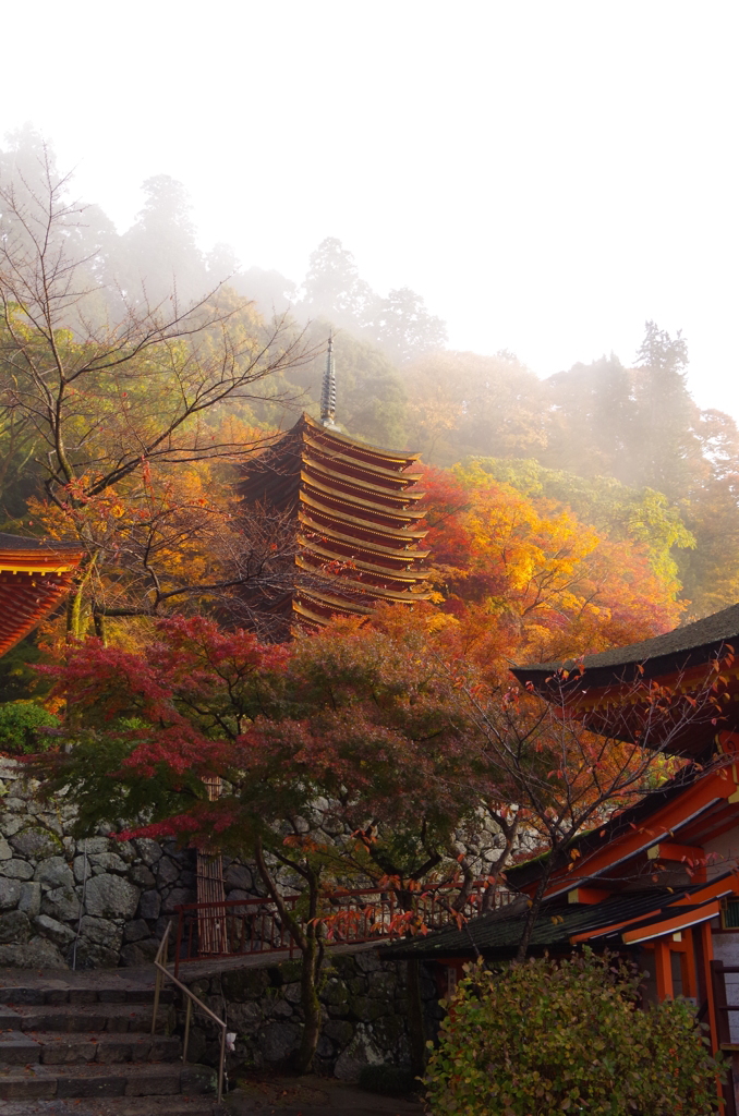 談山神社　～朝霧～