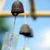 おふさの夏-2