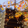 談山神社・紅葉2015②　