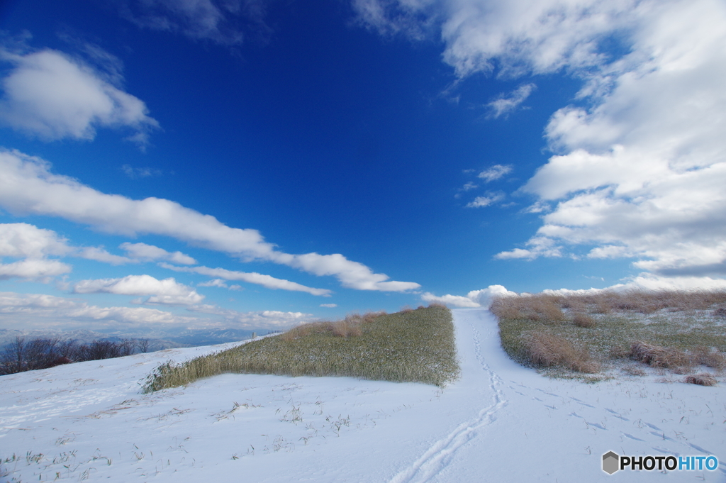 葛城山山頂