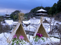 当麻寺の雪化粧