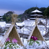 当麻寺の雪化粧