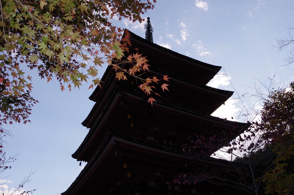 長谷寺