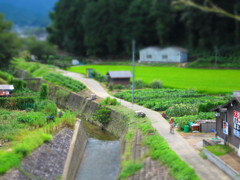 ジオラマ①