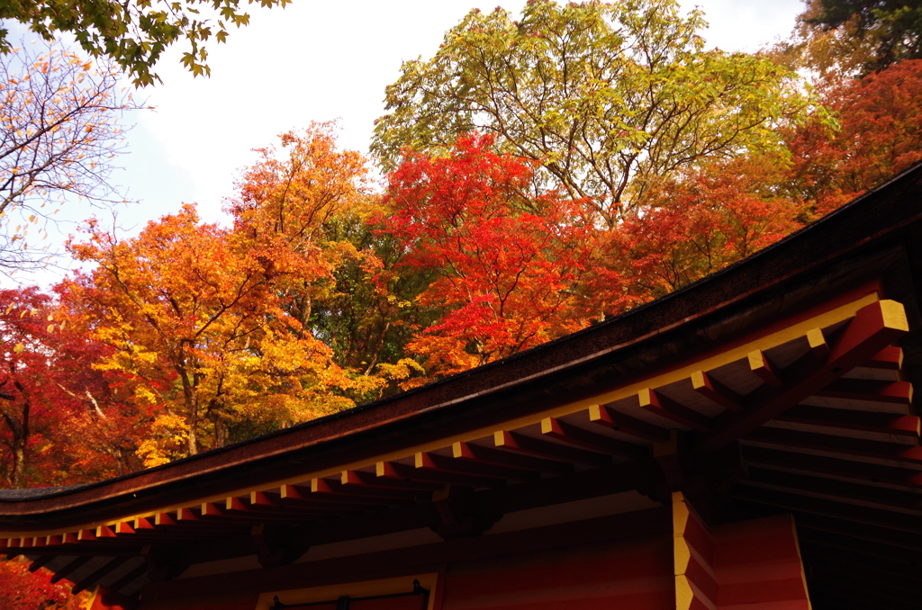 談山神社　～彩り～